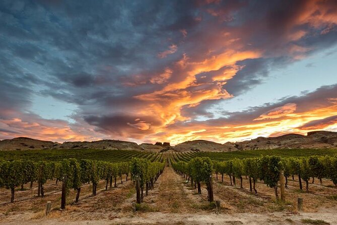 Private Central Otago Wine tasting Tour with Gourmet Lunch. - Gibbston again plus cheese board: a smart way to repeat without boredom