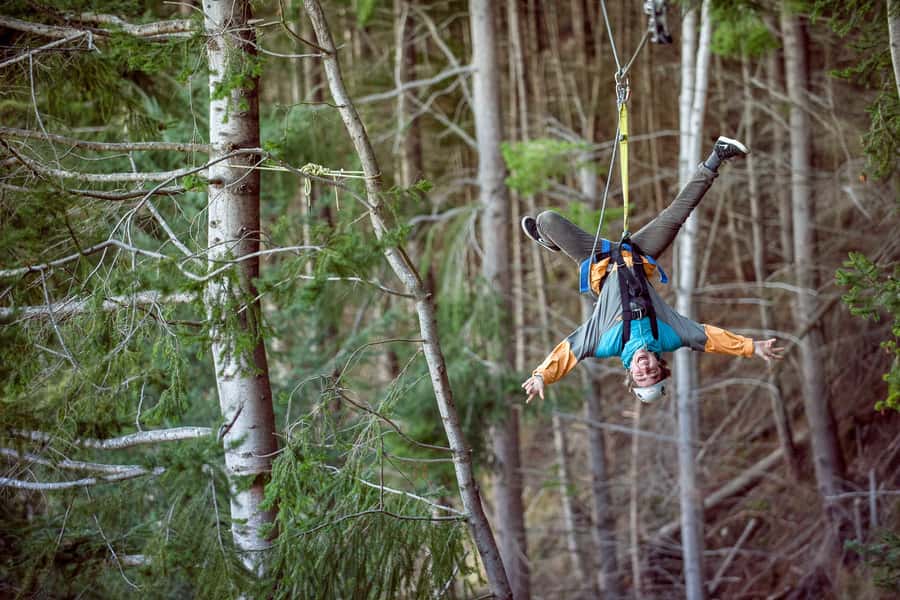 Queenstown: 2-Hour Zipline Tour with 4-Lines - Who should book the 4-line tour, and who should skip it