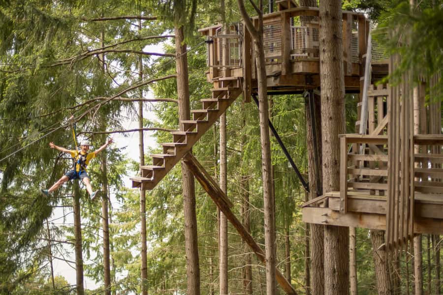 Queenstown: 3-Hour Zipline Adventure with 6-Lines - Quick hits before you fly