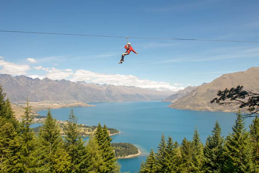 Queenstown: 3-Hour Zipline Adventure with 6-Lines - The downhill beech forest walk: short, but real