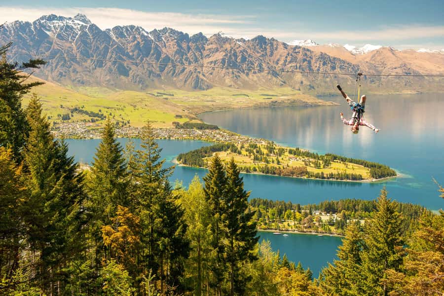 Queenstown: 3-Hour Zipline Adventure with 6-Lines - Price and what you actually get for $124