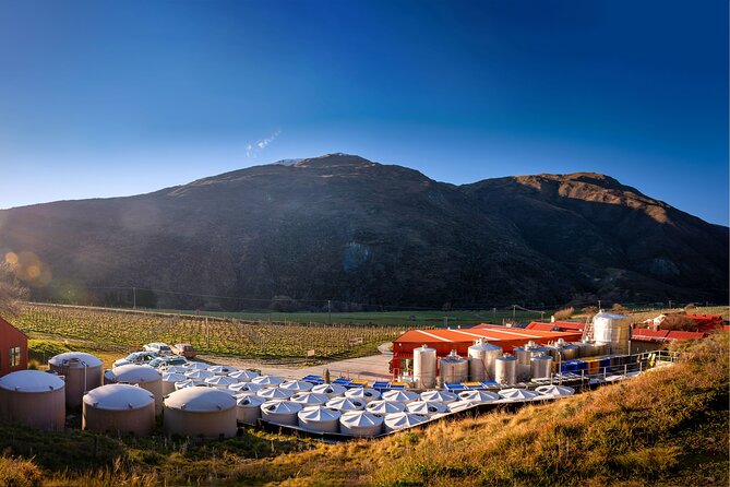 Queenstown Afternoon Wine Tour - Peregrine | Kinross | Amisfield - Learning to taste: what you actually get beyond pouring