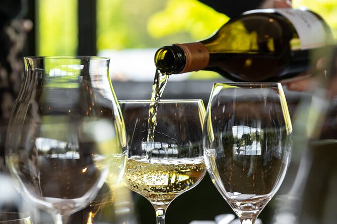 Queenstown Afternoon Wine Tour - Peregrine | Kinross | Amisfield - What the afternoon feels like on the ground