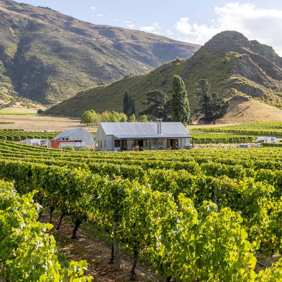 Queenstown, Arrowtown, Gibbston: Flexible Wine Hopper Tours - Price and value: what you’re really paying for