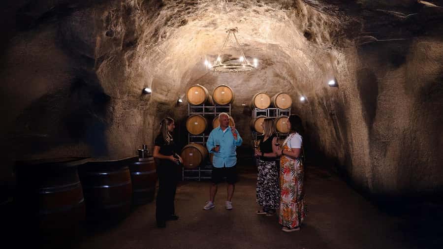 Queenstown: Classic Wine Tour - The “Valley of the Vines” Timing That Works