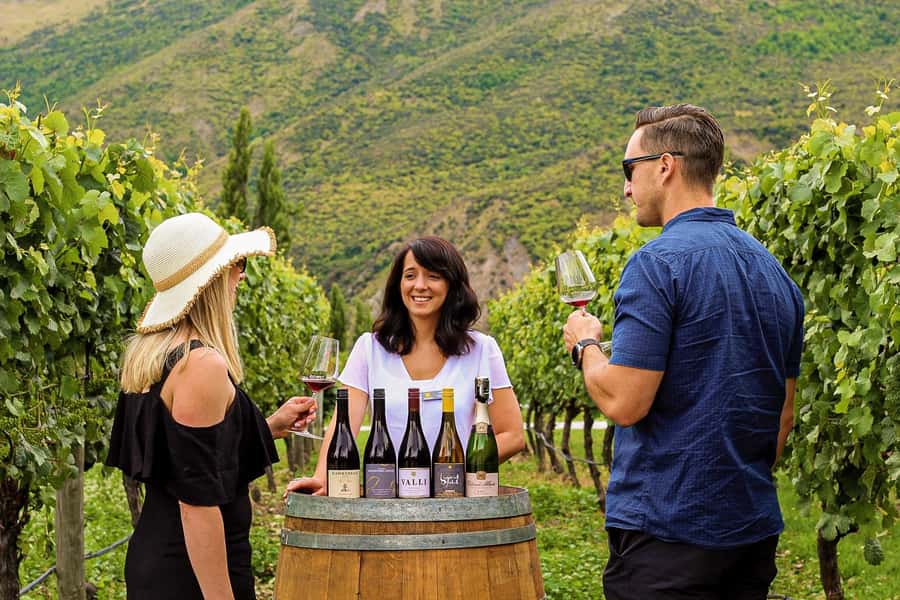 Queenstown: Classic Wine Tour - What You Actually Get: 3 Vineyards, 1 Cave, and a Cheeseboard
