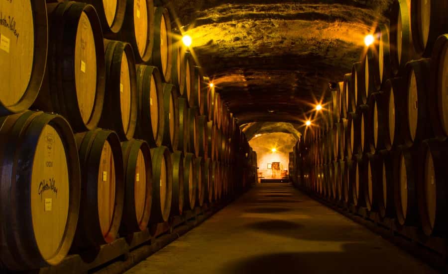 Queenstown: Classic Wine Tour - Stop by Stop: How the Winery Tastings Play Out