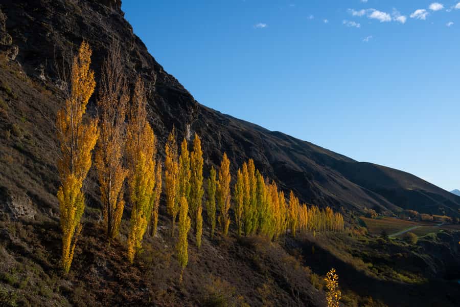 Queenstown: Craft Beer Brewery Tour with Lunch - Stop 1: A first hour of tasting to match your style