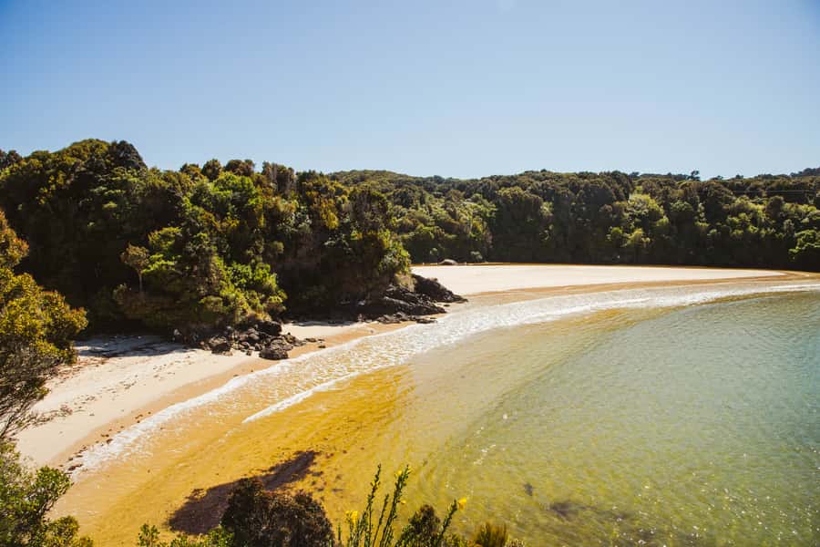 Queenstown: Day Trip to Stewart Island via Scenic Flight - Landing on Stewart Island: Oban as Your Easy Base