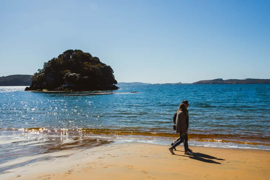 Queenstown: Day Trip to Stewart Island via Scenic Flight - Rakiura National Park and Ulva Island Options