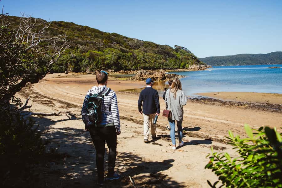 Queenstown: Day Trip to Stewart Island via Scenic Flight - Wildlife on Stewart Island: Kiwi Is the Main Reason