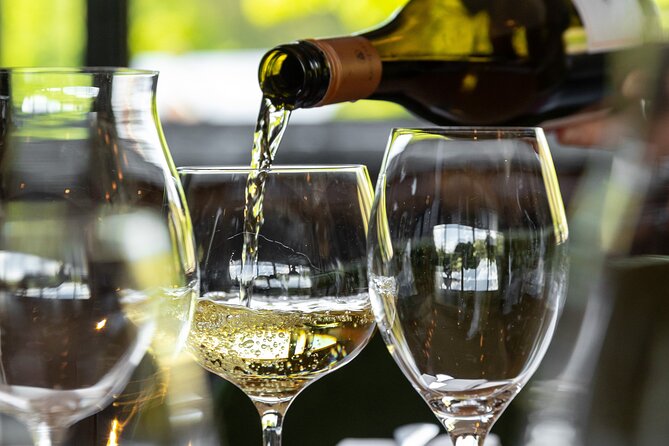 Queenstown Gin, Wine & Beer Tour | Adults Only - What 12+ tastings means for pacing (and getting the most out of it)