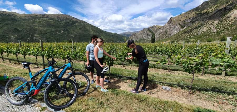 Queenstown: Guided E-Bike Tour with Winery Visits & Tastings - Key points before you book