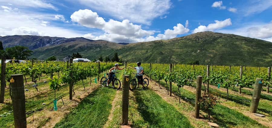 Queenstown: Guided E-Bike Tour with Winery Visits & Tastings - Arrowtown on the bike: rivers, bridges, and old-gold town vibes