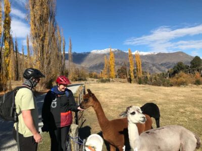 Queenstown: Guided E-Bike Tour with Winery Visits & Tastings - Getting started at 26 Hansen Road and the short van transfers