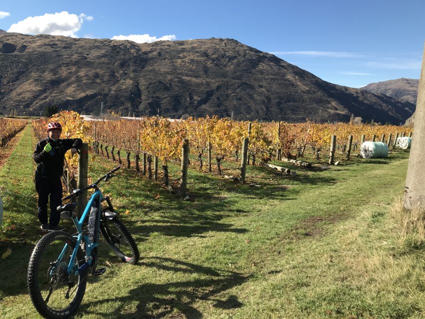 Queenstown: Guided E-Bike Tour with Winery Visits & Tastings - Bikes, safety, and who this tour fits best