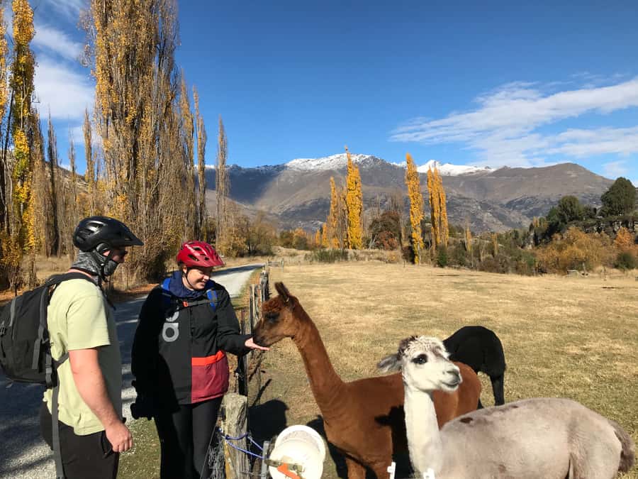 Queenstown: Guided E-Bike Tour with Winery Visits & Tastings - Getting started at 26 Hansen Road and the short van transfers