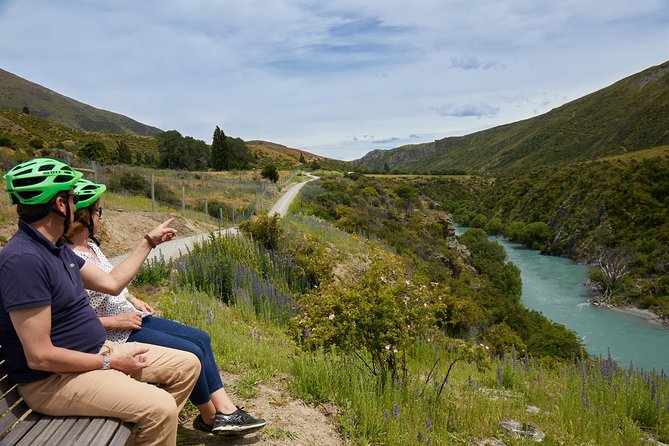 Queenstown Guided E-bike Wine Tour - Stop 3: Kawarau Suspension Bridge—bungee energy with a rest break