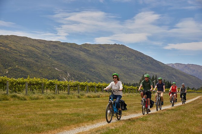 Queenstown Guided E-bike Wine Tour - Stop 5: Gibbston winery tasting—your included 30 minutes of wine time