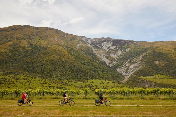 Queenstown Guided E-bike Wine Tour - Meeting point and transfers: getting out to Arrowtown without stress