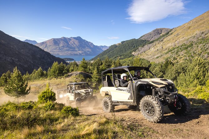 Queenstown Guided Self-Drive Buggy Tour - Queenstown buggy driving: what the experience feels like