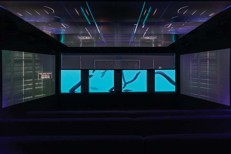 Queenstown: Hidden Underwater Theatre Experience - Key Things That Make Time Tripper Worth Your Half Hour
