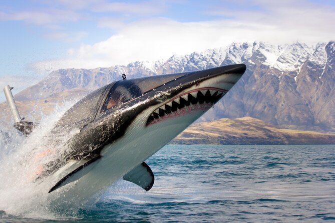 Queenstown Hydro Attack Shark Ride Adventure - Key Points Before You Go