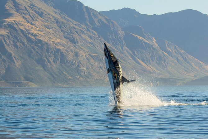 Queenstown Hydro Attack Shark Ride Adventure - Shark Jumps and High-Speed Maneuvers: Choosing Mild or Wild