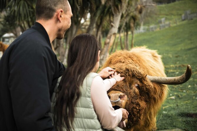 Queenstown Lake Cruise and Walter Peak Farm Adventure - Key Points Before You Go