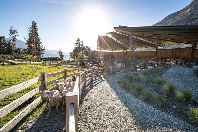 Queenstown Lake Cruise and Walter Peak Farm Adventure - Afternoon Tea: The Meal That Actually Fits the Schedule