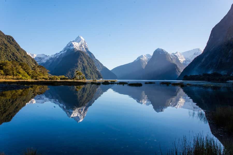 Queenstown: Milford Sound Cruise & Helicopter Alpine Tour - From Queenstown To Milford Sound: the fast way to see Fiordland