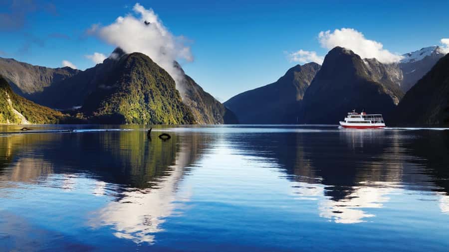 Queenstown: Milford Sound Day Trip - Cruise & Picnic Lunch - Picnic lunch on board: chicken or vegetarian, and how to make it work
