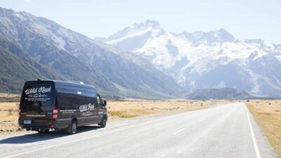 Queenstown: Milford Sound Day Trip - Cruise & Picnic Lunch - Milford Sound cruise (1 hr 45 min): misty waterfalls and real time on the water