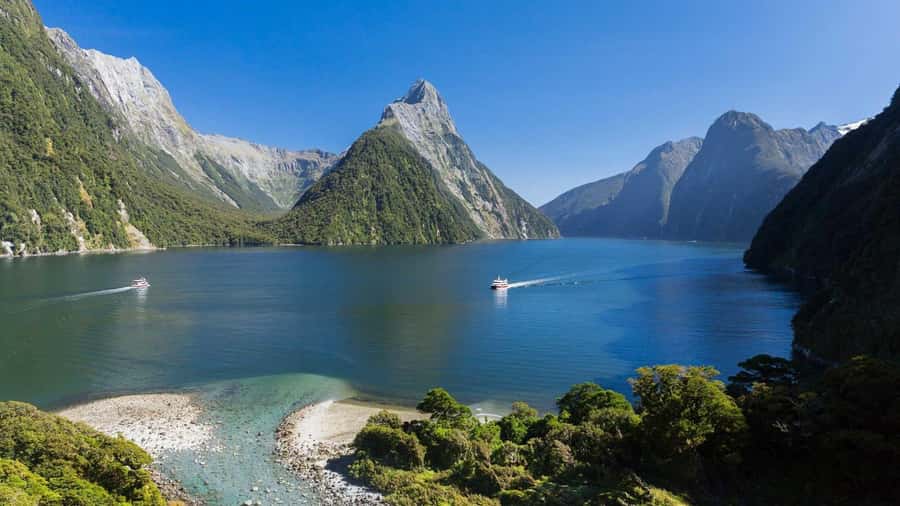 Queenstown: Milford Sound Day Trip - Cruise & Picnic Lunch - Mirror Lakes, Eglinton Valley, Homer Tunnel: why these stops matter
