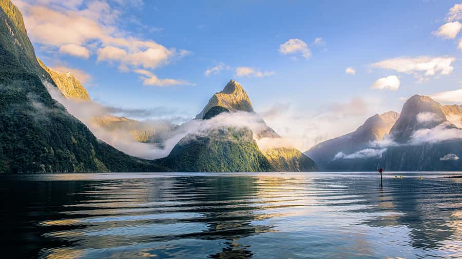 Queenstown: Milford Sound Small-Group Tour w Cruise & Lunch - Te Anau break time: a quick reset in the middle of nowhere
