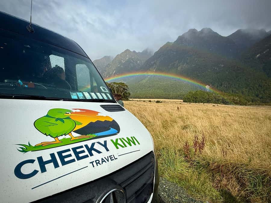 Queenstown: Milford Sound Small-Group Tour w Cruise & Lunch - Mirror Lakes: the stop that rewards a slow look
