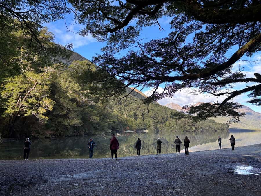 Queenstown: Milford Sound Small-Group Tour w Cruise & Lunch - Eglinton Valley and Lake Gunn: short stops, big impact