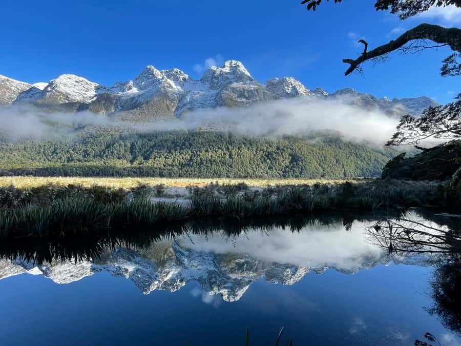 Queenstown: Milford Sound Small-Group Tour w Cruise & Lunch - Homer Tunnel: the turning point into Milford Sound