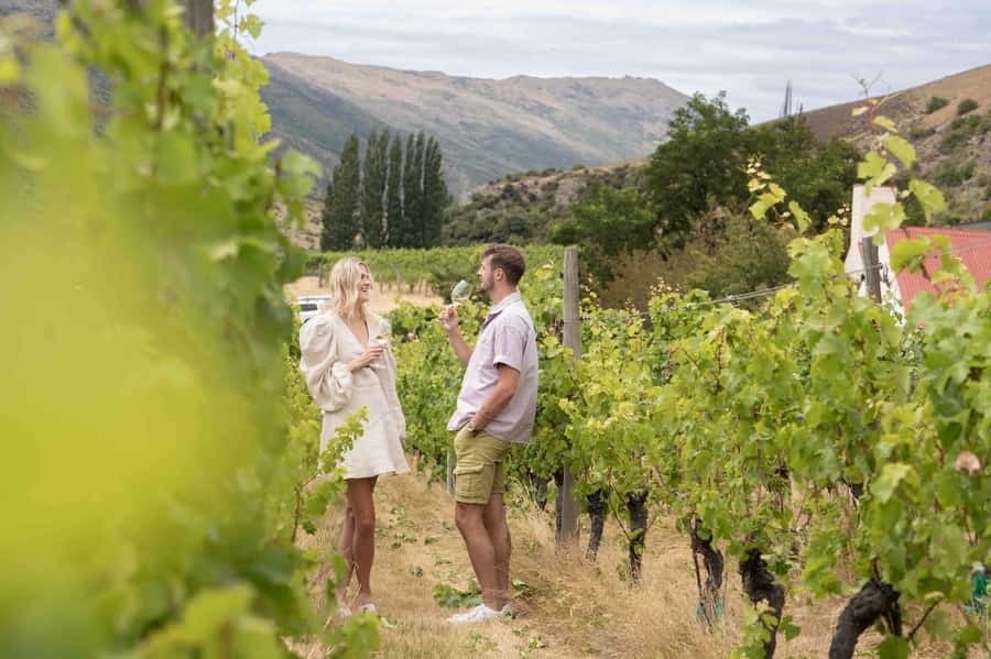 Queenstown: Original Premium Half-Day Gibbston Wine Tour - Lunch at your pace: planning food when it is not included