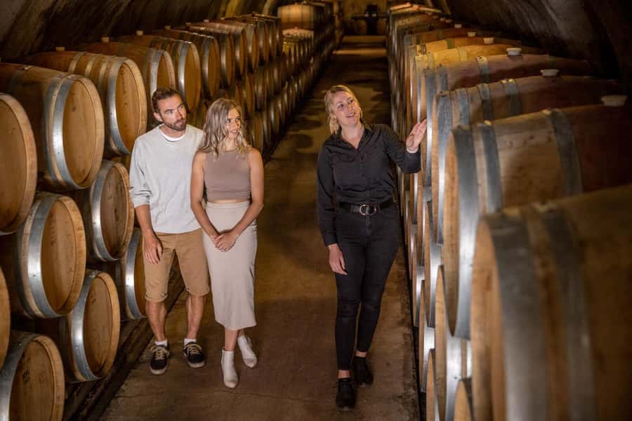 Queenstown: Original Premium Half-Day Gibbston Wine Tour - Should you book? My straight answer