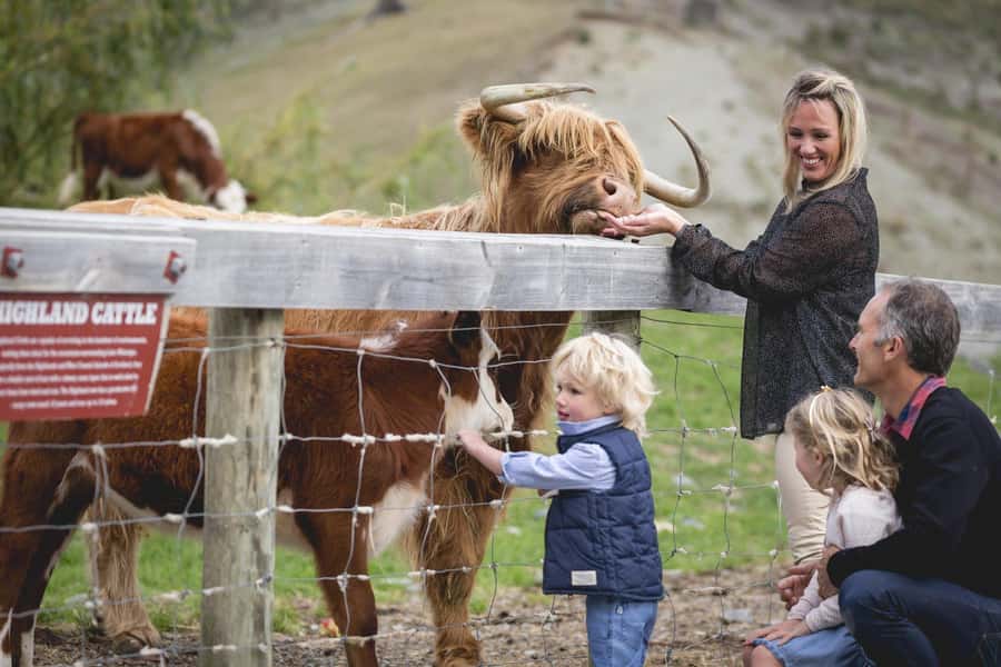 Queenstown: Queenstown Lake Cruise and Walter Peak Farm Tour - Key things to know before you go