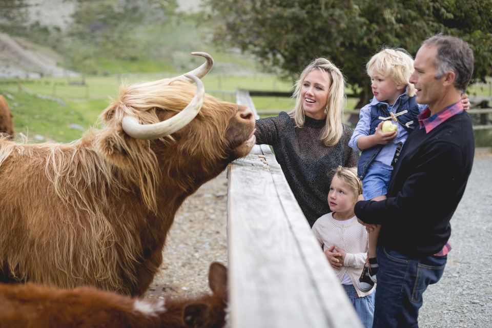 Queenstown: Queenstown Lake Cruise and Walter Peak Farm Tour - Practical tips so your day runs smooth