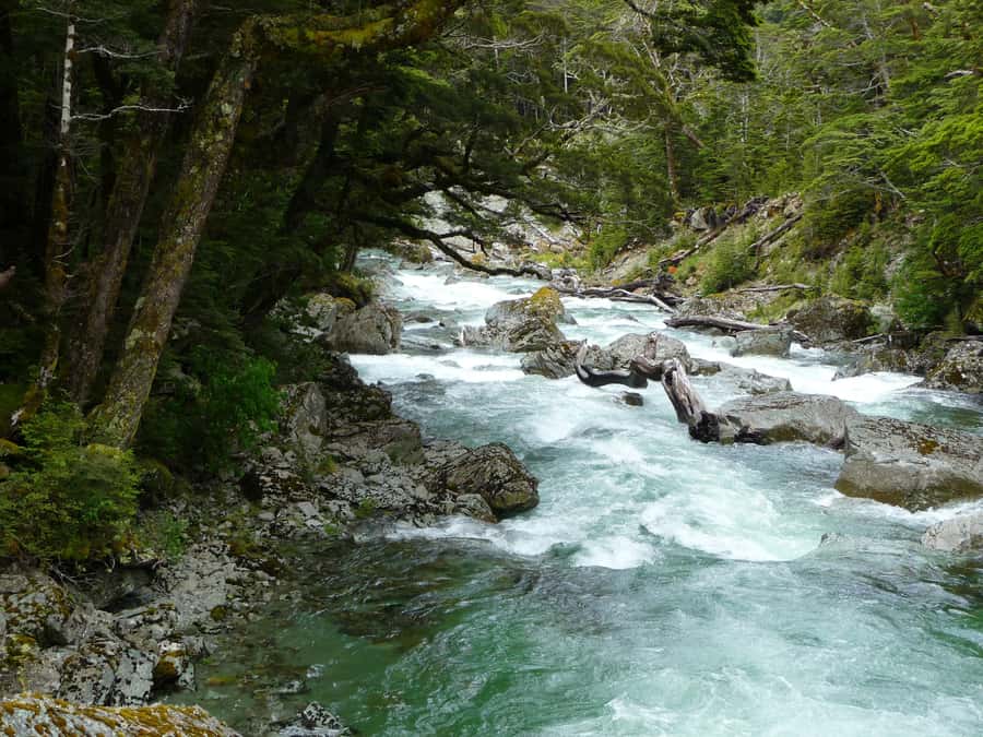 Queenstown: Routeburn Track Guided Full-Day Walk or Half Day - Routeburn Track from Queenstown: the drive that frames the day