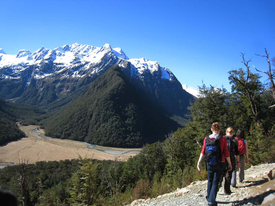 Queenstown: Routeburn Track Guided Full-Day Walk or Half Day - Beech forest and alpine gardens: why the guide makes the trail better
