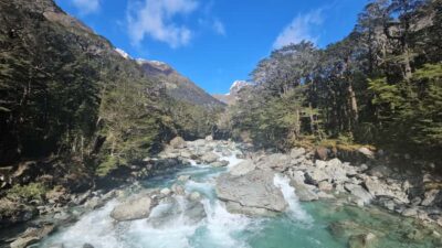 Queenstown: Routeburn Track Guided Full-Day Walk or Half Day - Swing bridge over the Routeburn River: the memorable moment