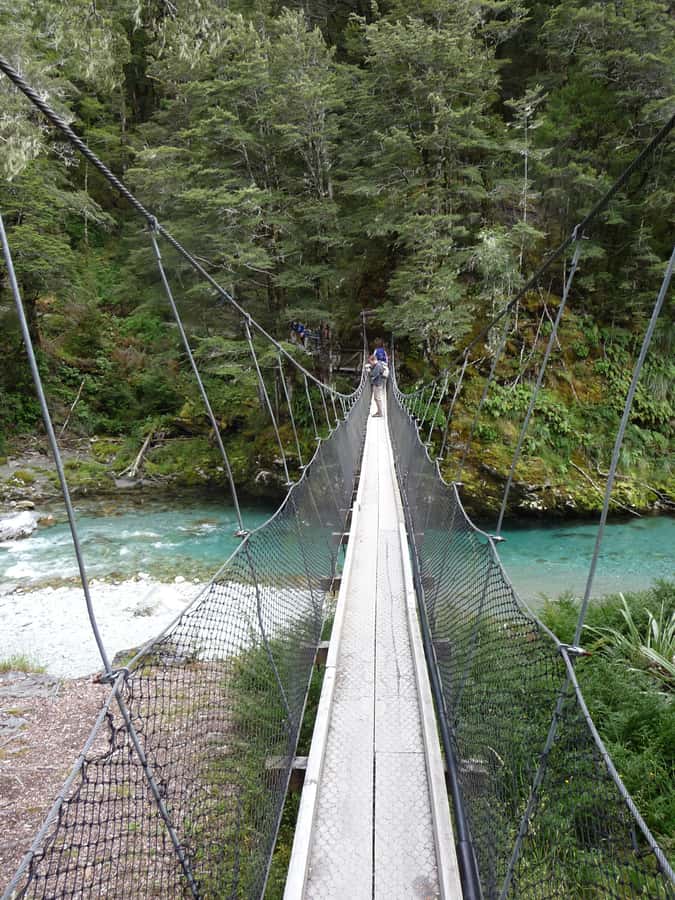 Queenstown: Routeburn Track Guided Full-Day Walk or Half Day - Small groups (up to 10) and the guide style you’ll feel
