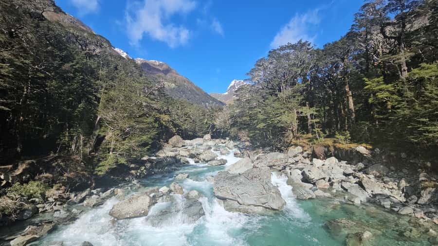 Queenstown: Routeburn Track Guided Full-Day Walk or Half Day - Swing bridge over the Routeburn River: the memorable moment