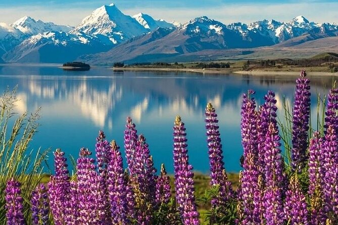 Queenstown to Christchurch One Way Tour Via Lake Tekapo & Mt Cook - Salmon farm stop + Mt Cook visitor centre and a lunch-with-a-view break