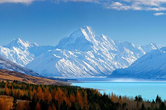 Queenstown to Christchurch One-Way Tour via Mt Cook & Lake Tekapo - Omarama: quick small-town pause in the Mackenzie plains