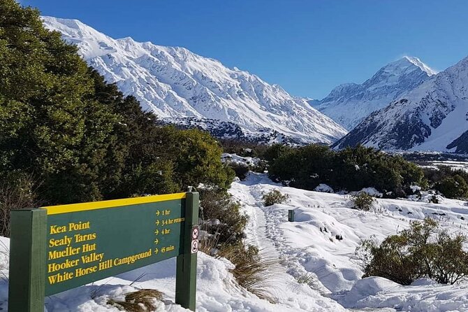 Queenstown to Christchurch One-Way Tour via Mt Cook & Lake Tekapo - Lake Tekapo and the Church of the Good Shepherd: short stop, big postcard energy
